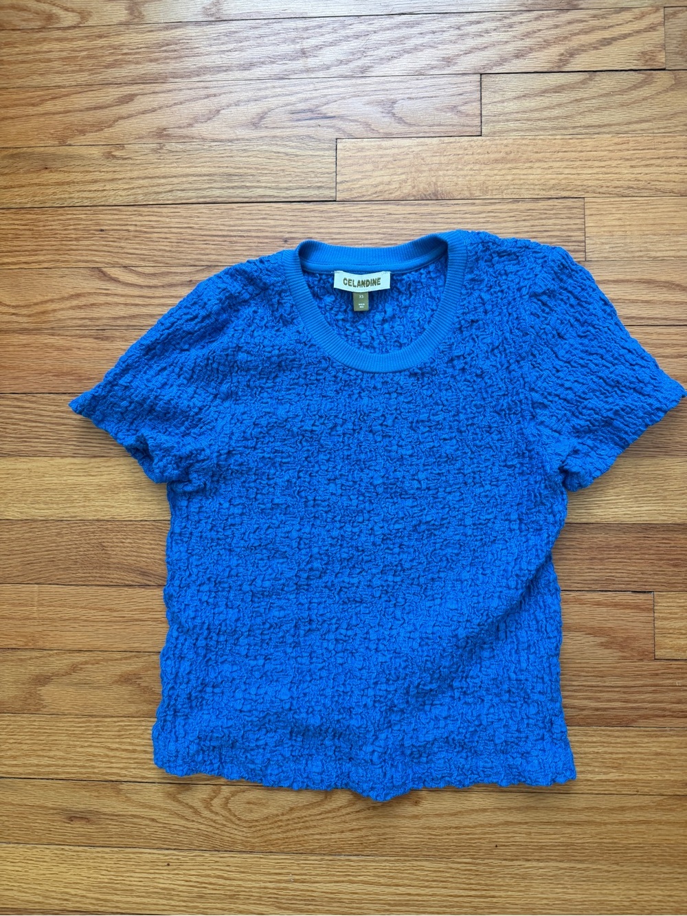 Celandine Blue Crinkle Texture Tee Y2K inspired Size XS from Anthropologie